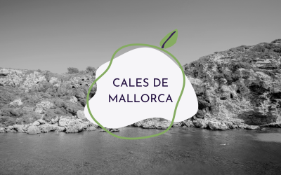 7 cales que només coneixen els mallorquins