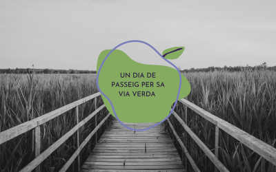 Un dia de passeig per sa Via Verda