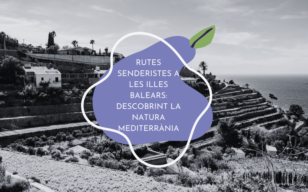 Les millors rutes senderistes a les Illes Balears per connectar amb la natura